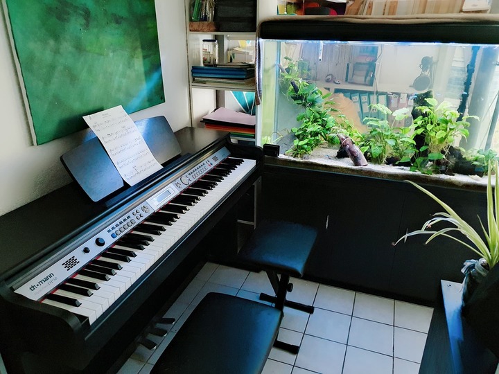 [Montpellier] Cours de piano pour tous niveaux : la 1\u00e8re heure d&#039;essai est gratuite !